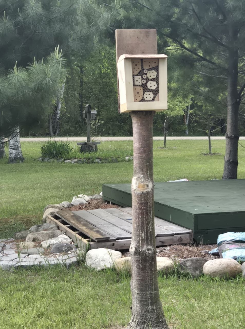 Rustic backyard bee hotel mounted on a post near the yard and cabin deck