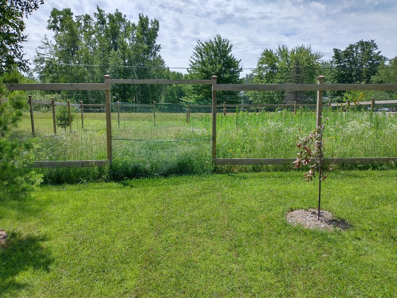 Fenced garden area in the early days at the cabin