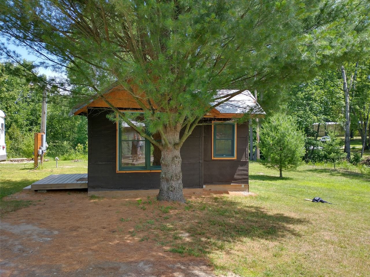 Small dark cabin structure under the pine tree in the early days