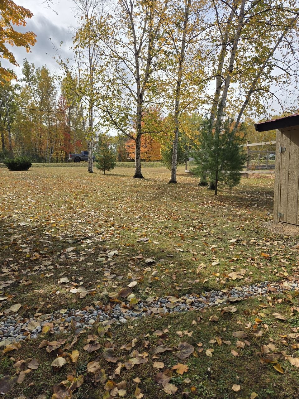 Fall cleanup scene on the property with leaves down and the truck visible in October 2025