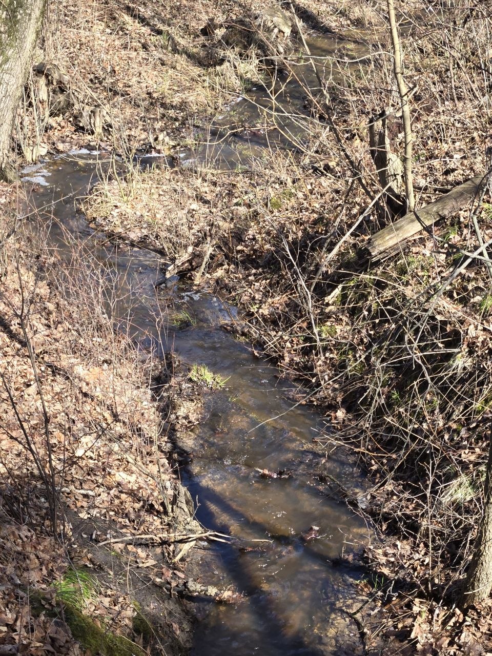 Water running through the little creek near the property during the early spring return in 2026