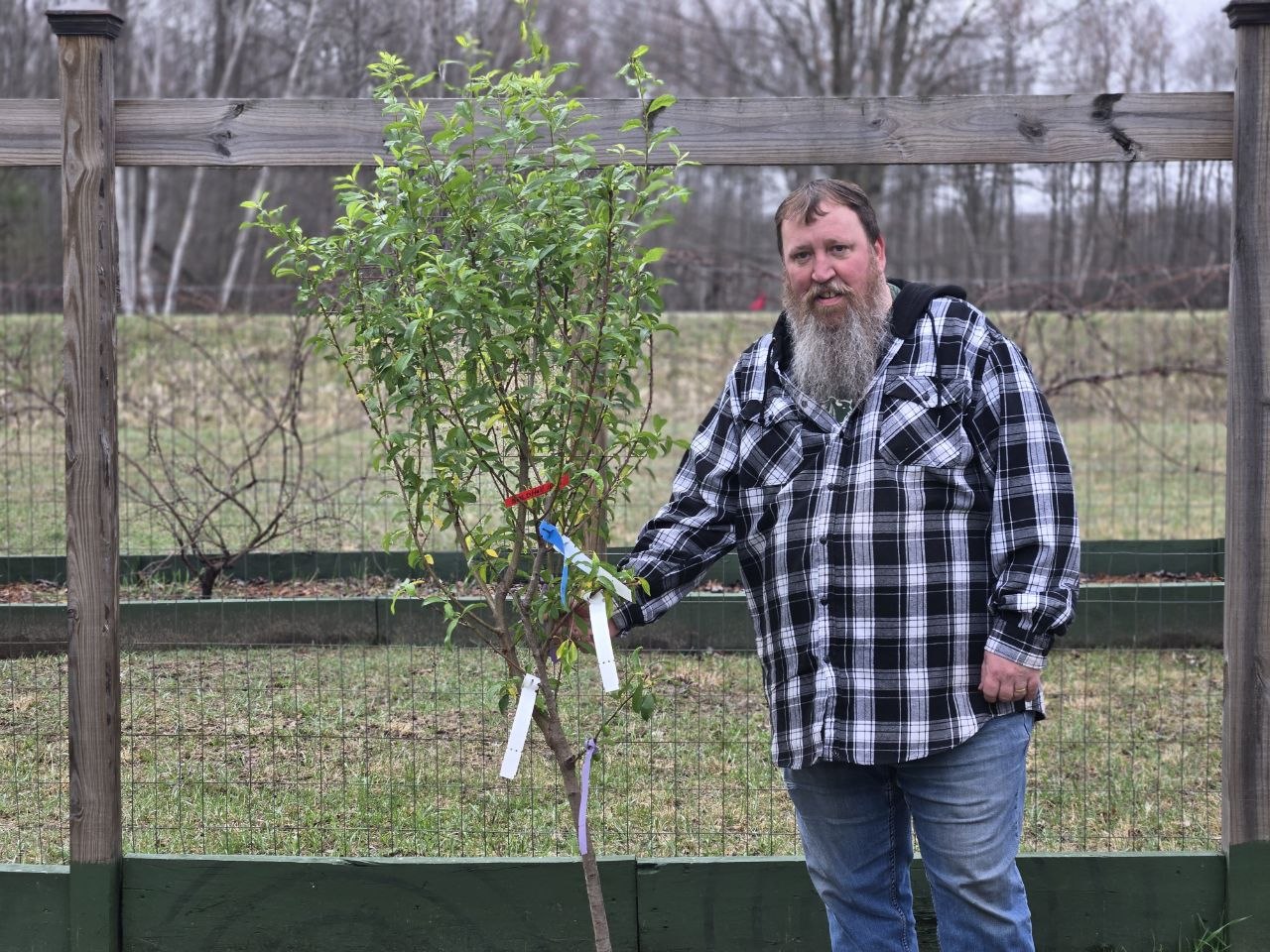 Jeff standing with one of the newly planted fruit trees inside the fenced orchard area at the cabin