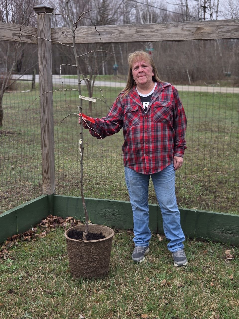 Vanessa with one of the newly planted fruit trees inside the fenced orchard area at the cabin