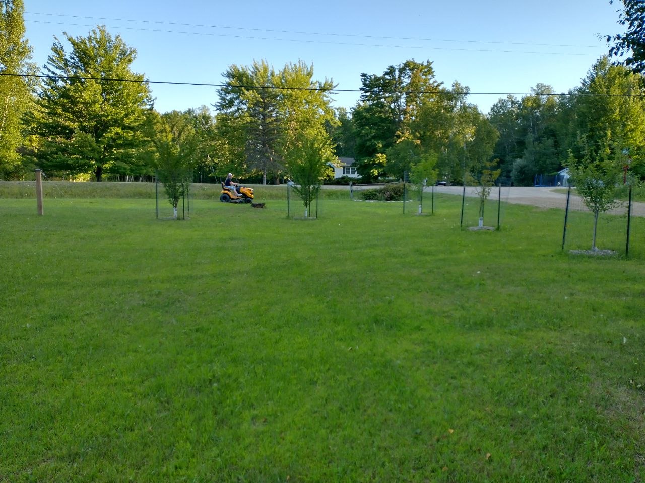 Wide sea of grass view with the riding mower near the young trees at the cabin property