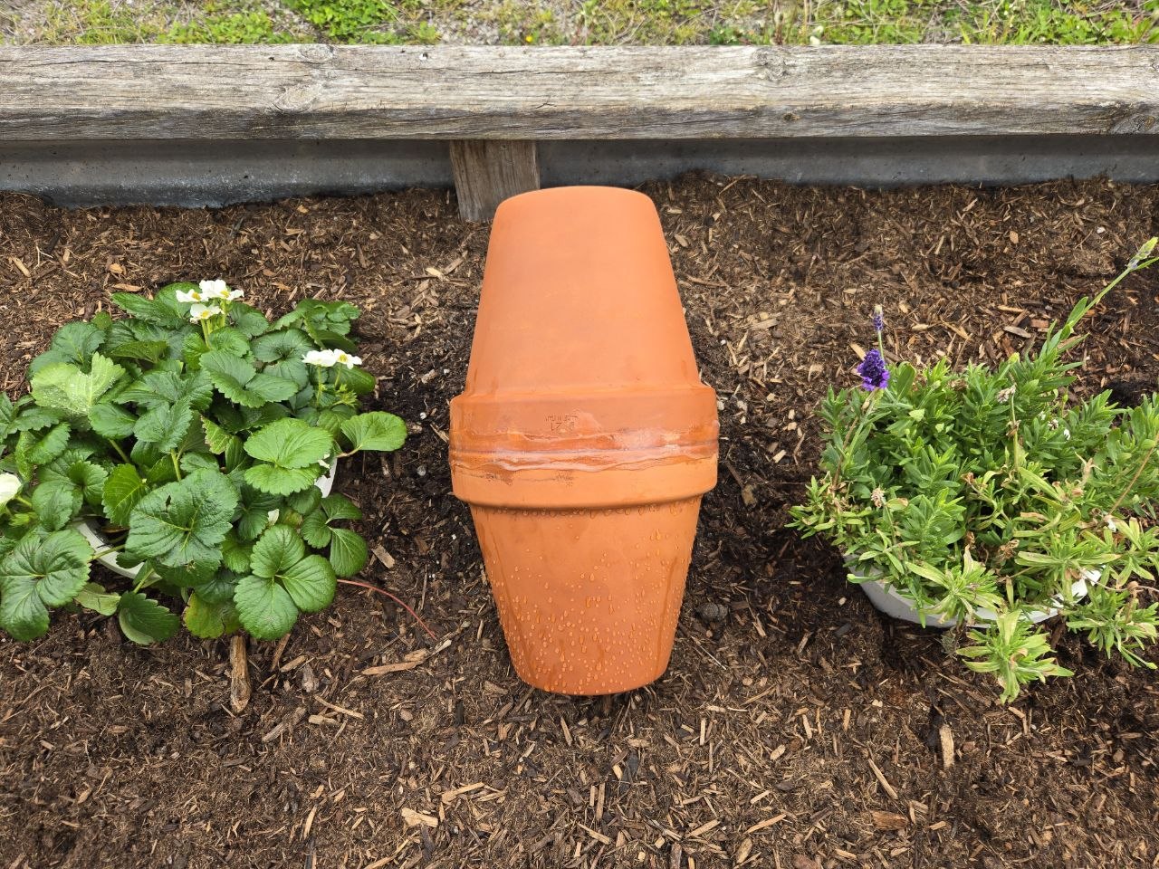 Terracotta olla pot with lid and tubing