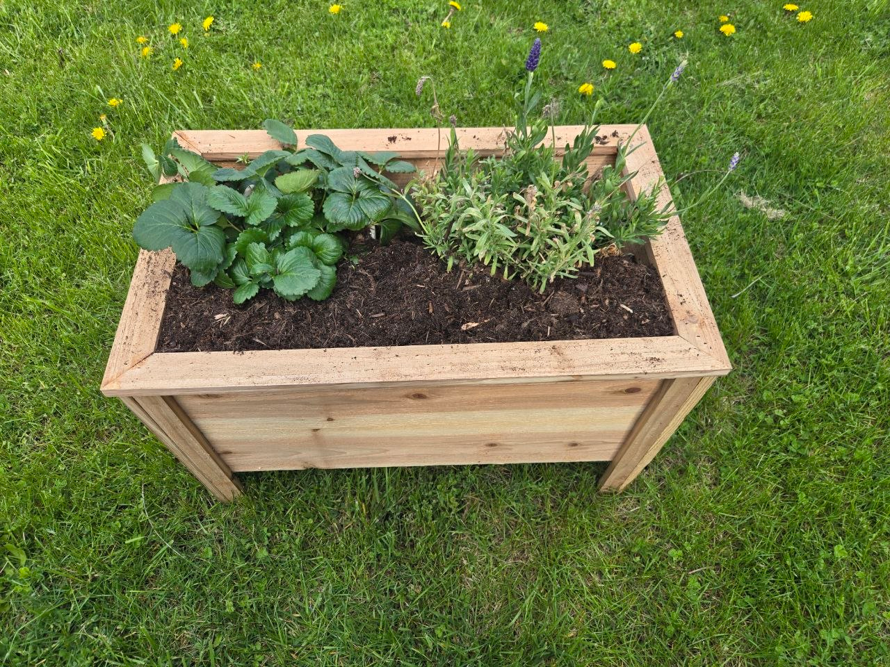 DIY patio garden bed with planted raised beds around a small backyard patio area