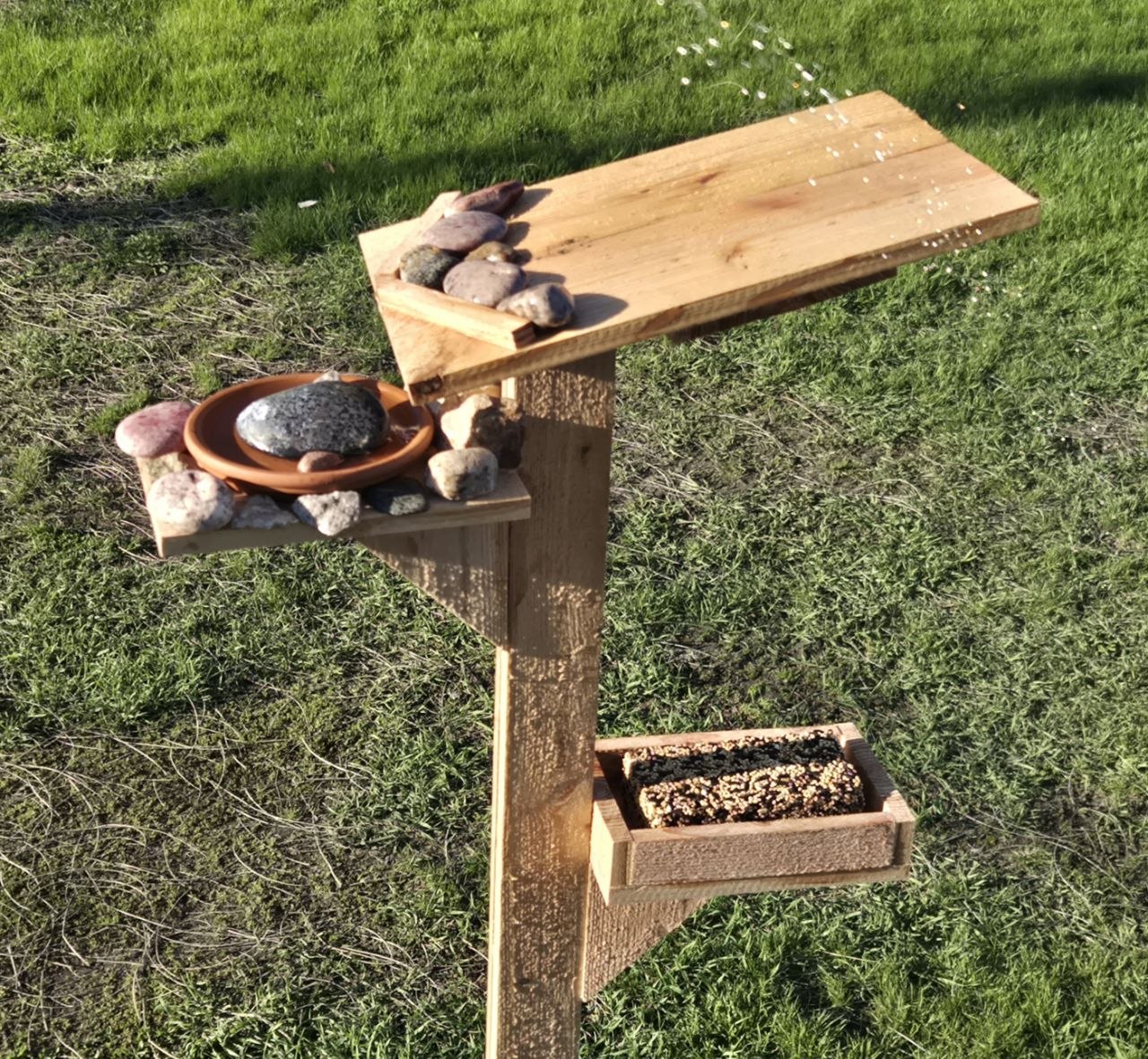 Finished bird, squirrel, and critter feeding and watering station in the ground
