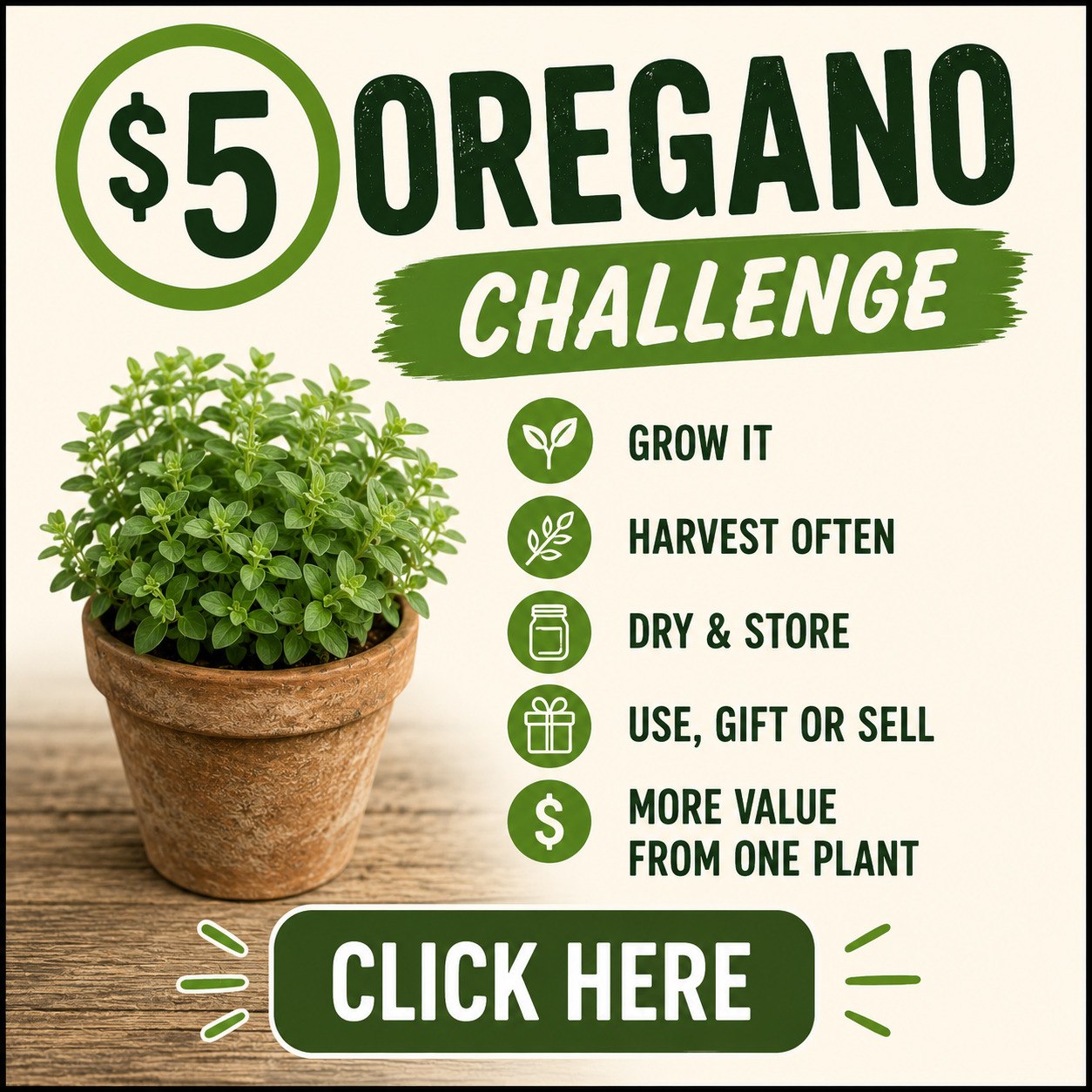 Take the $5 Oregano Challenge promo graphic inviting readers to grow it, harvest often, dry and store it, and get more value from one plant
